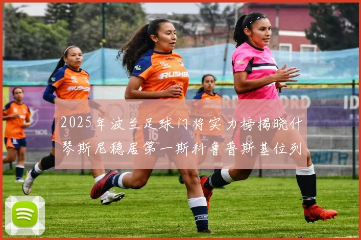 2025年波兰足球门将实力榜揭晓什琴斯尼稳居第一斯科鲁普斯基位列第三