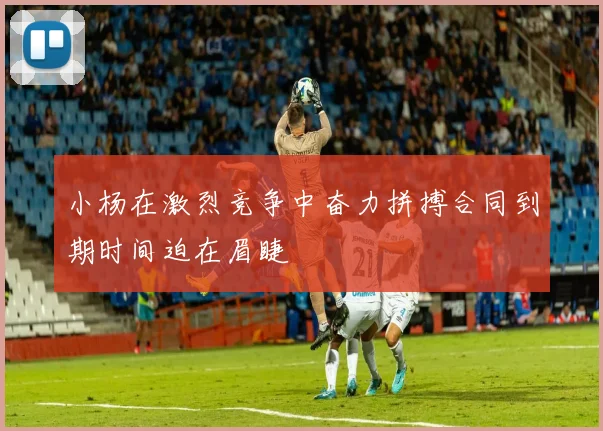 小杨在激烈竞争中奋力拼搏合同到期时间迫在眉睫