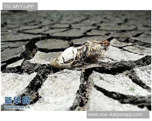 记者透露河床对迈阿密引援目标穆拉展开谈判引发关注 记者透露河床对迈阿密引援目标穆拉展开谈判引发关注